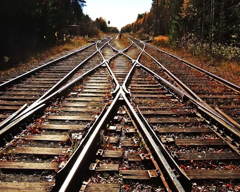 Railroad tracks in autumn forest