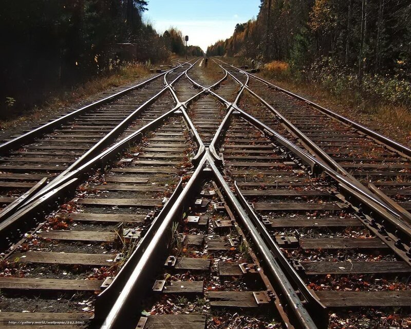 Railroad tracks in autumn forest
