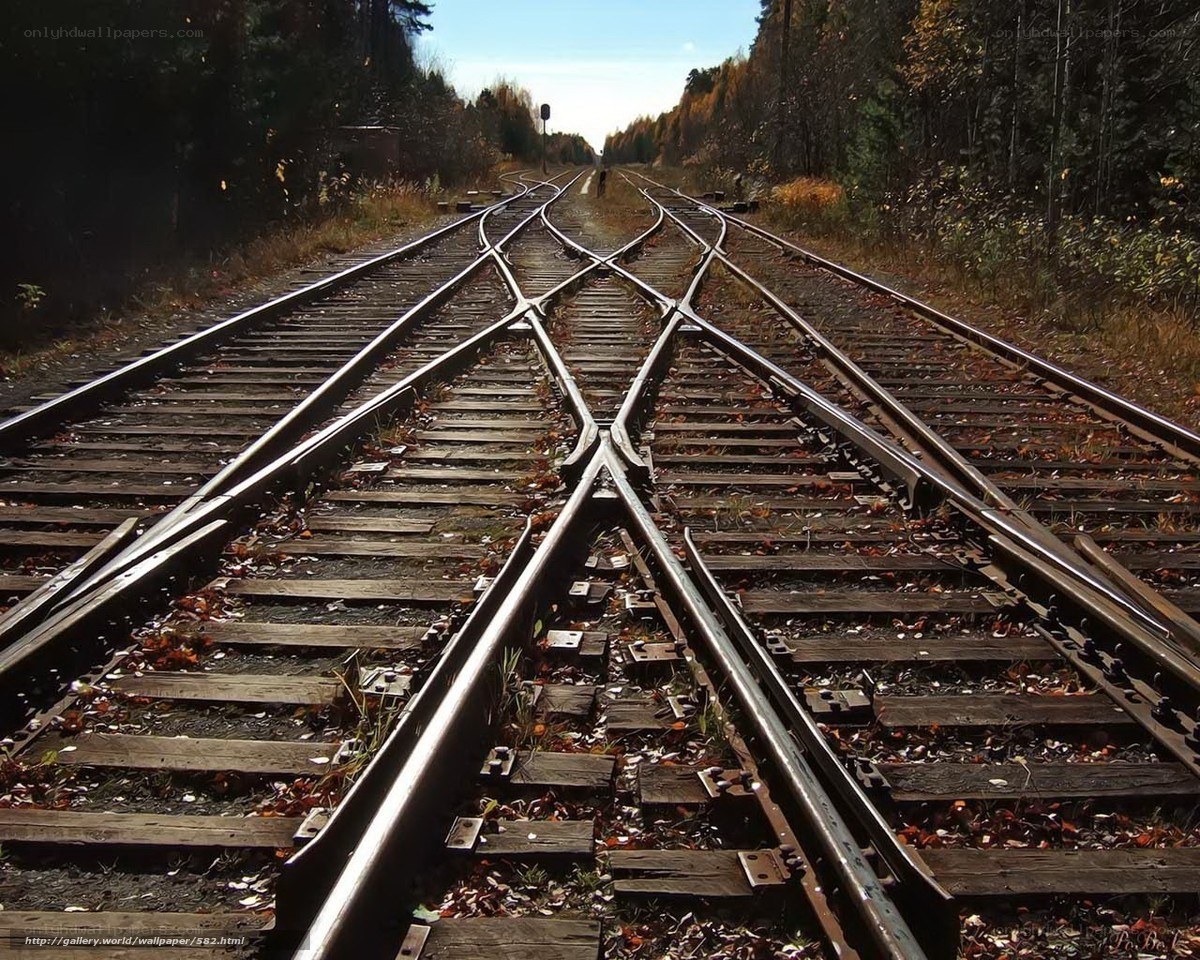 Railroad tracks in autumn forest