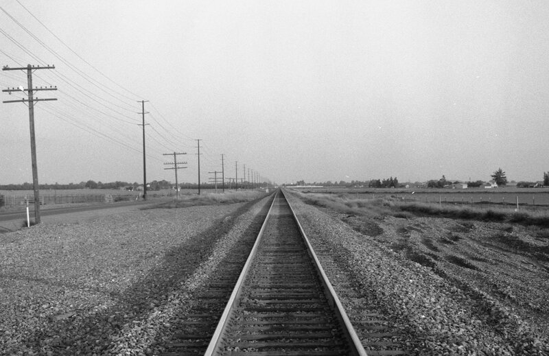 Railroad Tracks in Field — Black, Serene