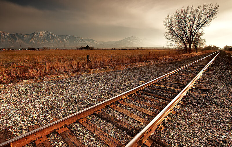 Railroad Tracks in Field — Brown, Dramatic