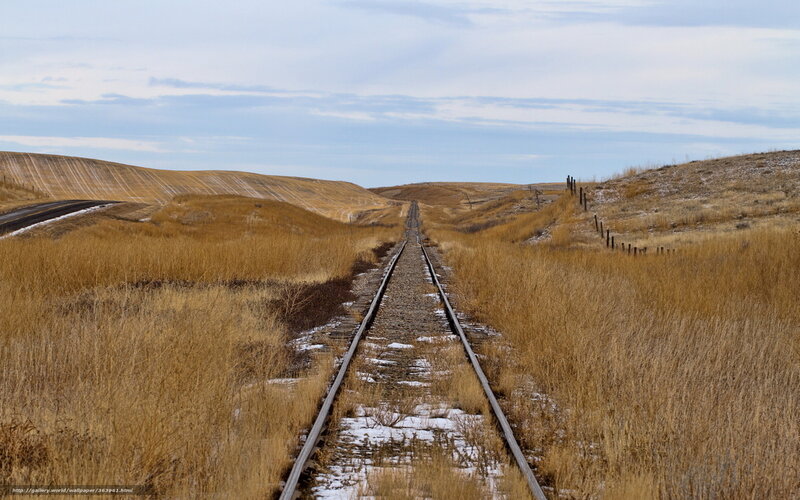 Railroad Tracks in Field — Brown, Serene