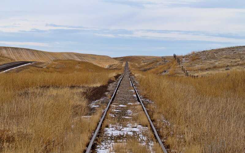 Railroad Tracks in Field — Brown, Serene, Winter