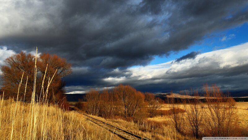 Railroad Tracks in Field — Brown