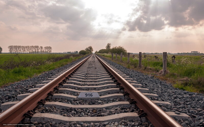 Railroad Tracks in Field — Gray, Serene