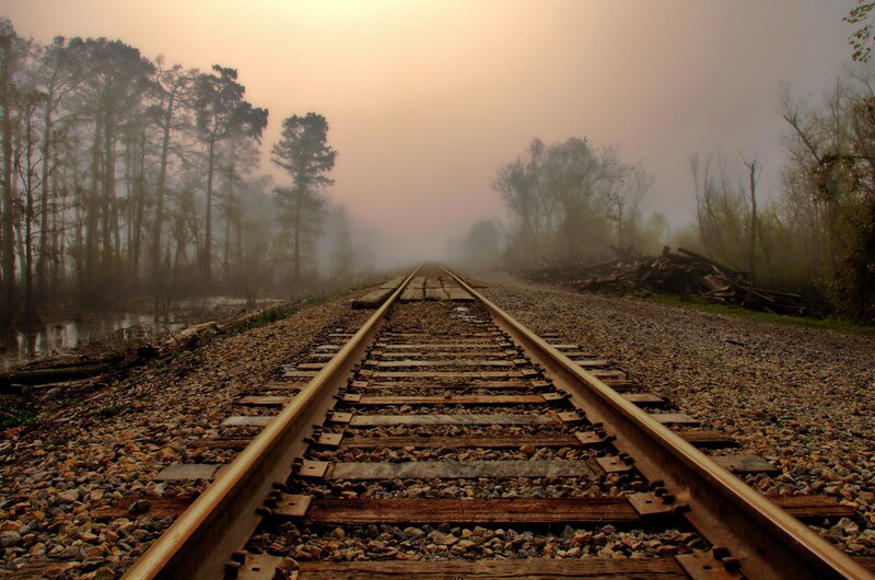 railroad tracks in foggy forest