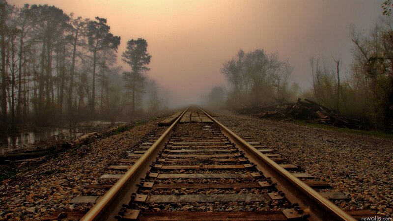 railroad tracks in foggy forest