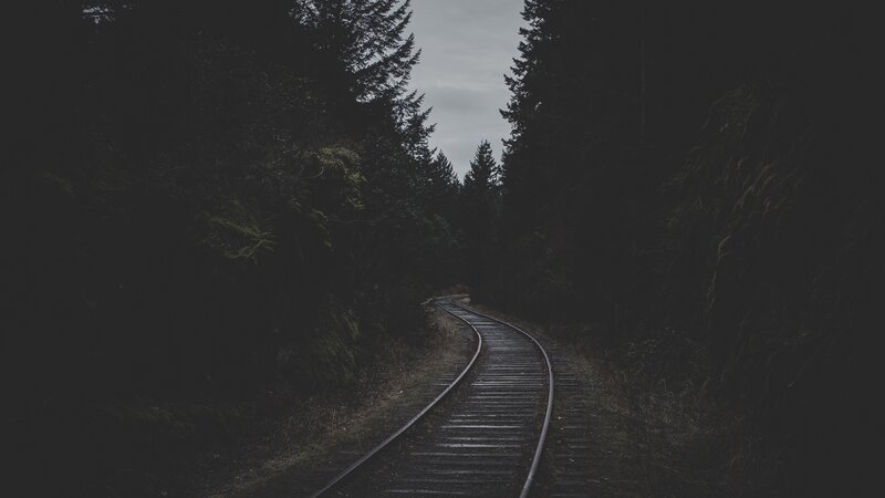 Railroad Tracks in Forest — Black, Dark