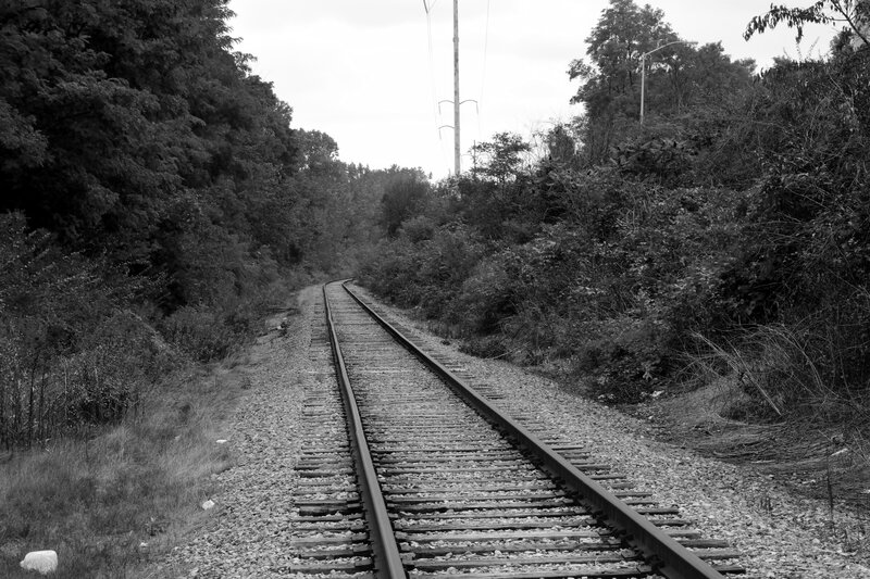 Railroad Tracks in Forest — Black, Serene, Photograph