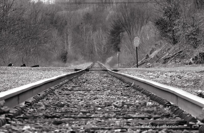 Railroad Tracks in Forest — Black, Serene