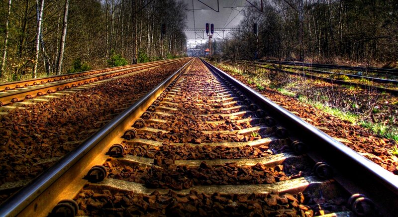 Railroad Tracks in Forest — Brown, Dramatic