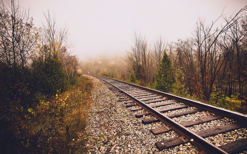 Railroad Tracks in Forest — Brown, Misty