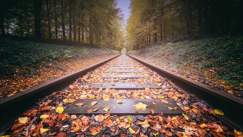 Railroad Tracks in Forest — Brown, Serene, Autumn, Photograph, Leaves