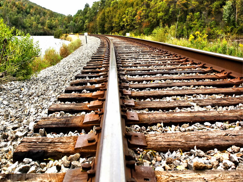 Railroad Tracks in Forest — Brown, Serene, Autumn