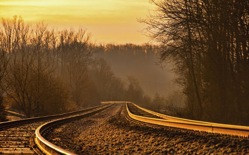 Railroad Tracks in Forest — Gold, Serene