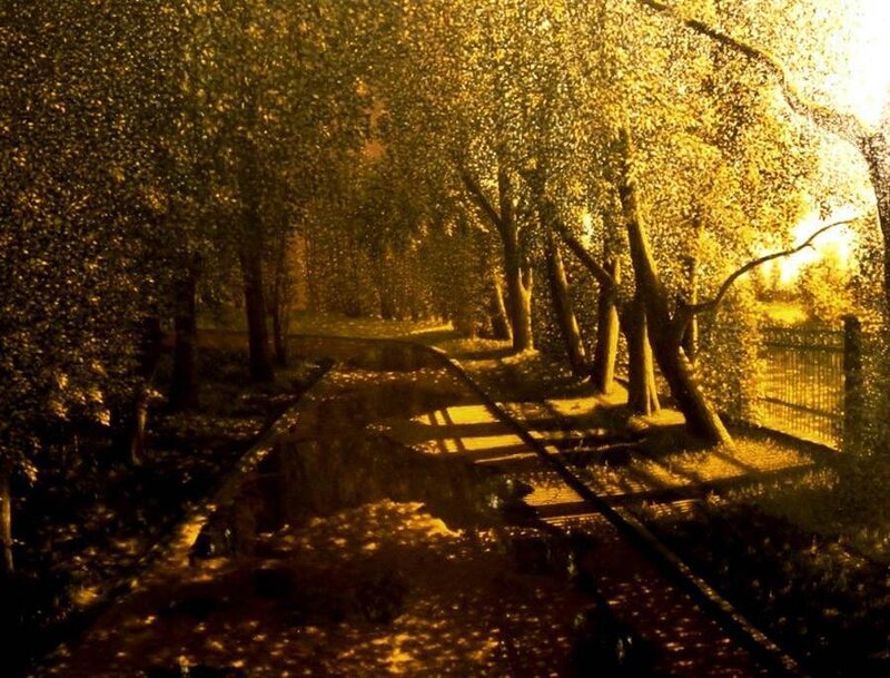 Railroad Tracks in Forest — Gold