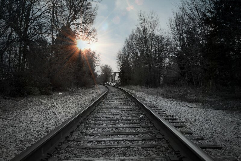 Railroad Tracks in Forest — Gray, Dramatic