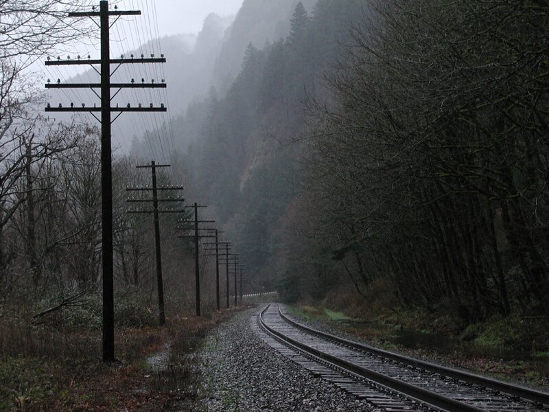 Railroad Tracks in Forest — Gray, Dreary, Winter