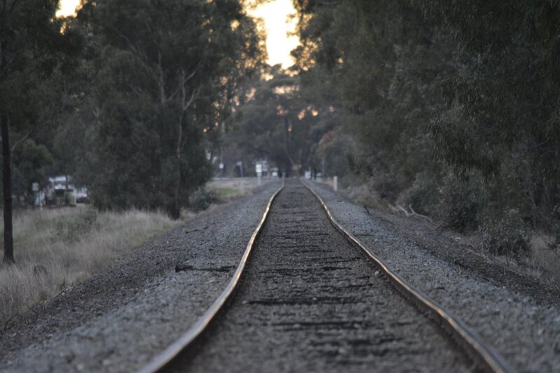 Railroad Tracks in Forest — Gray, Serene, Sunset
