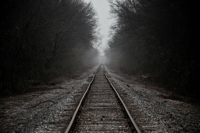 Railroad Tracks in Forest — Gray, Somber