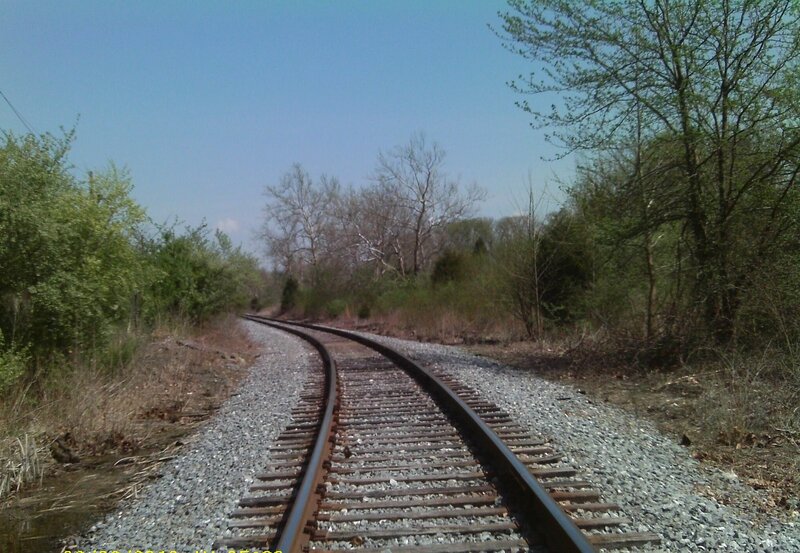 Railroad Tracks in Forest — Gray