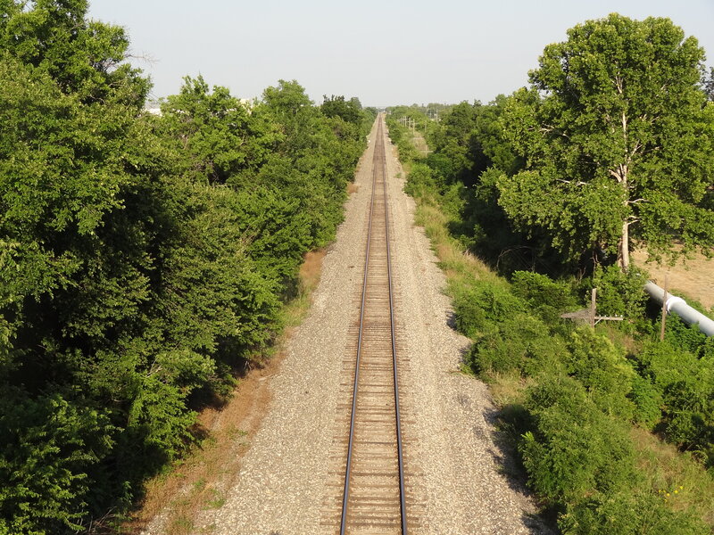 Railroad Tracks in Forest — Green, Serene, Afternoon, Photograph