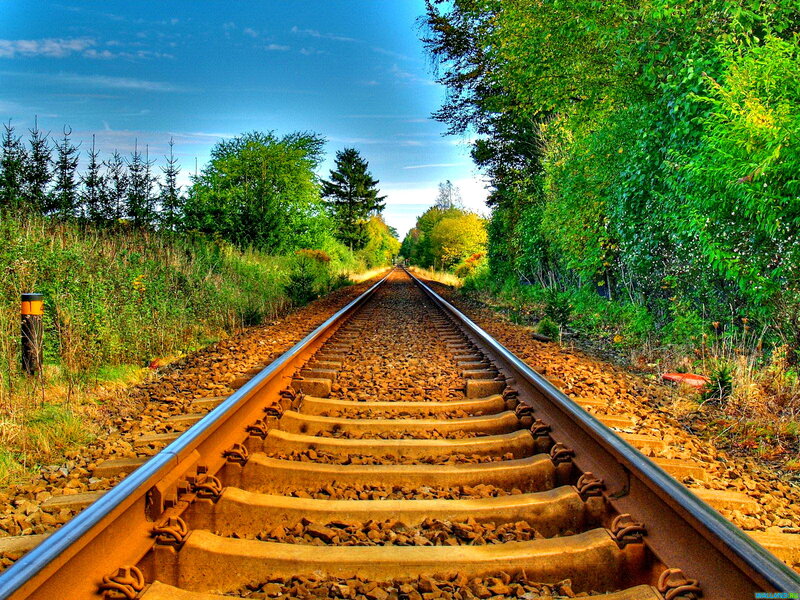 Railroad Tracks in Forest — Green, Serene, Afternoon, Photograph, Trees