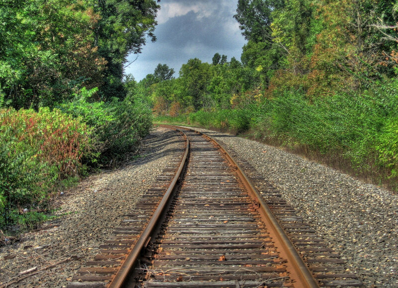 Railroad Tracks in Forest — Green, Serene, Afternoon
