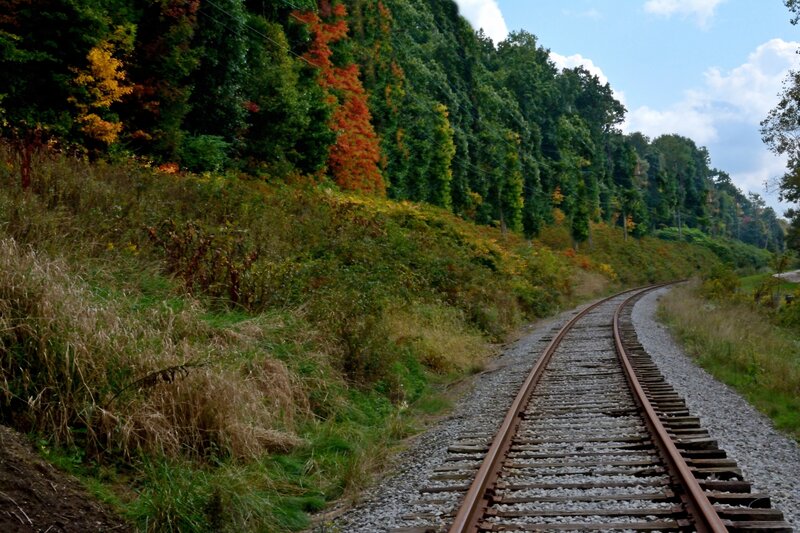 Railroad Tracks in Forest — Green, Serene, Autumn