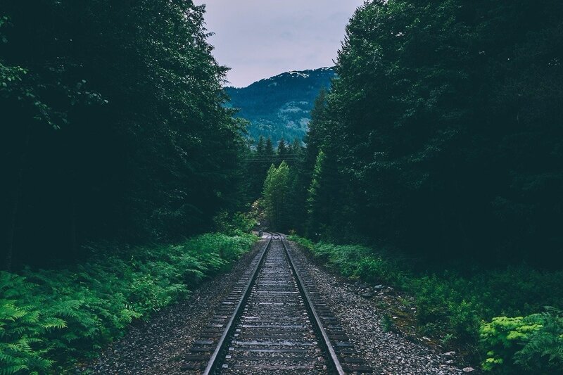 Railroad Tracks in Forest — Green, Serene, Morning, Photograph