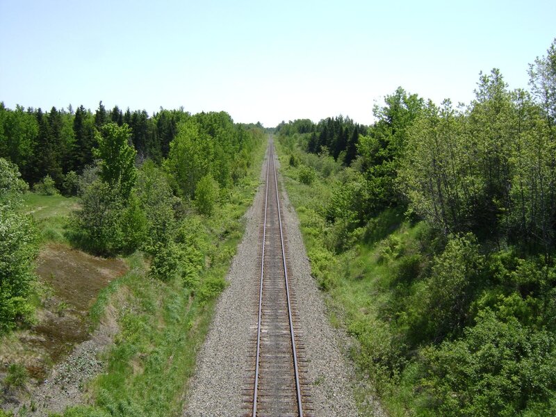 Railroad Tracks in Forest — Green, Serene, Summer