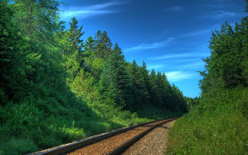 Railroad Tracks in Forest — Green, Serene