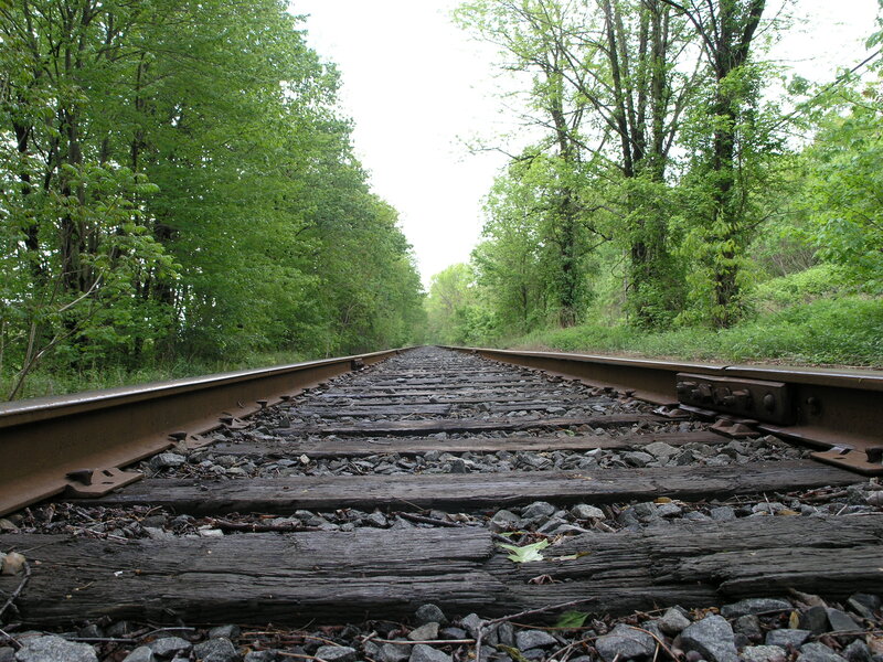 Railroad Tracks in Forest — Green
