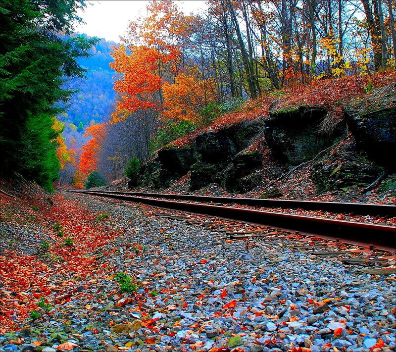 Railroad Tracks in Forest — Orange, Serene, Autumn, Photograph, Trees, Rocks