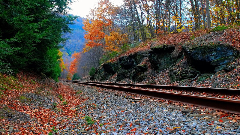 Railroad Tracks in Forest — Orange, Serene, Autumn, Photograph, Trees