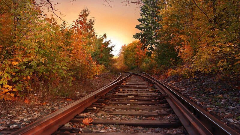 Railroad Tracks in Forest — Orange, Serene, Autumn