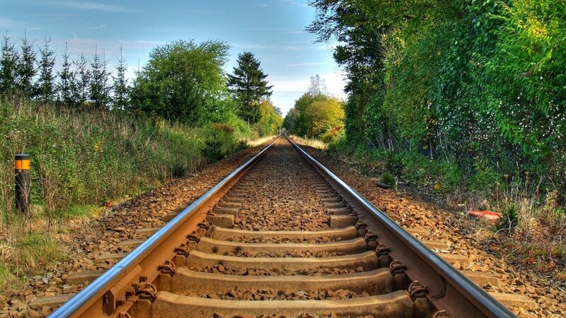 Railroad Tracks in Forest — Photograph