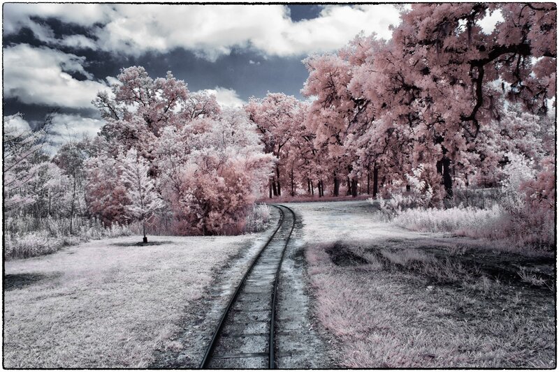 Railroad Tracks in Forest — Pink, Dramatic