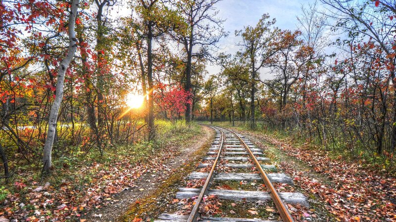Railroad Tracks in Forest — Red, Serene