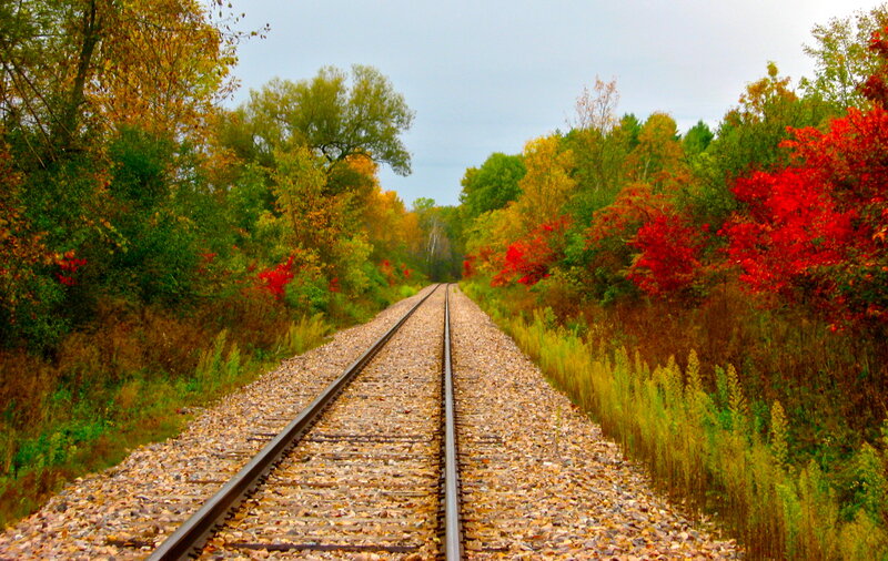 Railroad Tracks in Forest — Red