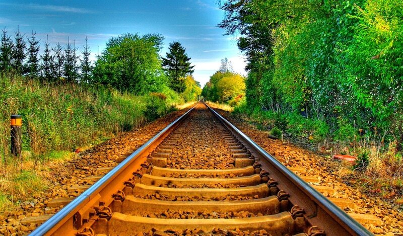 Railroad Tracks in Forest — Serene
