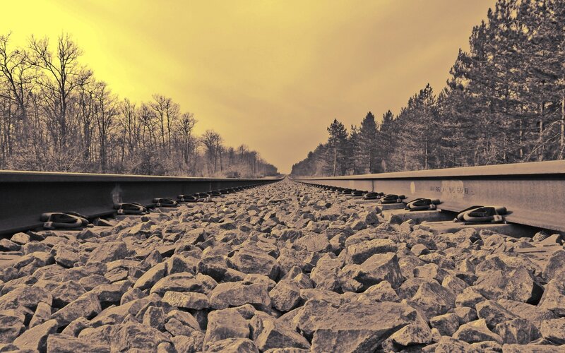 Railroad Tracks in Forest — Yellow, Serene, Autumn, Photograph, Trees