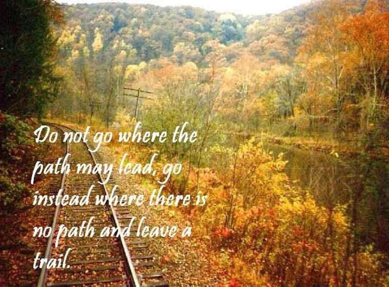 Railroad Tracks in Forest — Yellow
