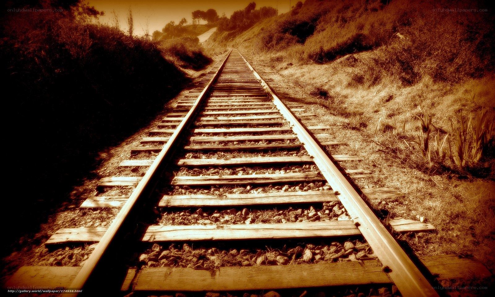 railroad tracks in sepia
