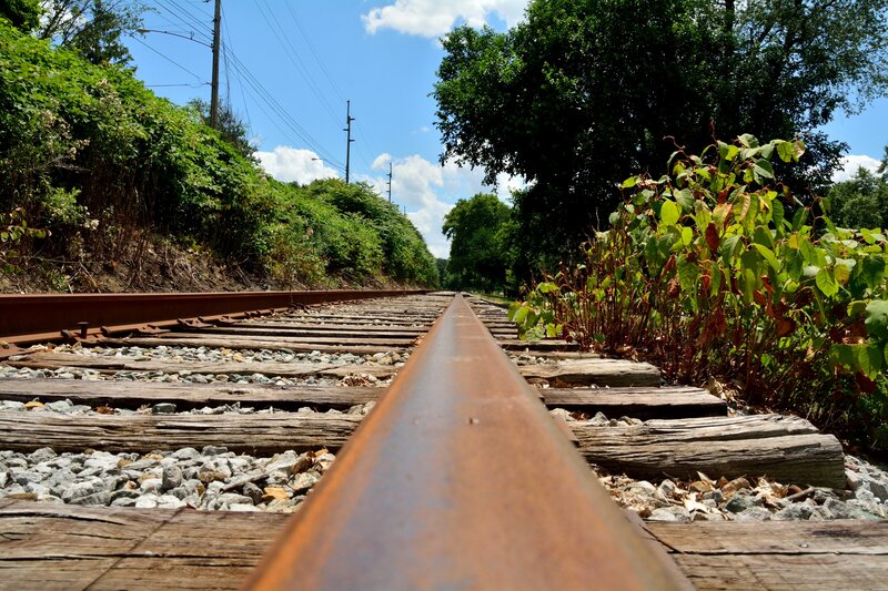 Railroad Tracks in Summer