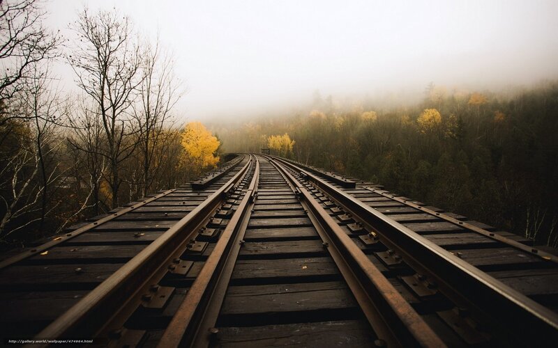 Railroad Tracks on Bridge — Brown