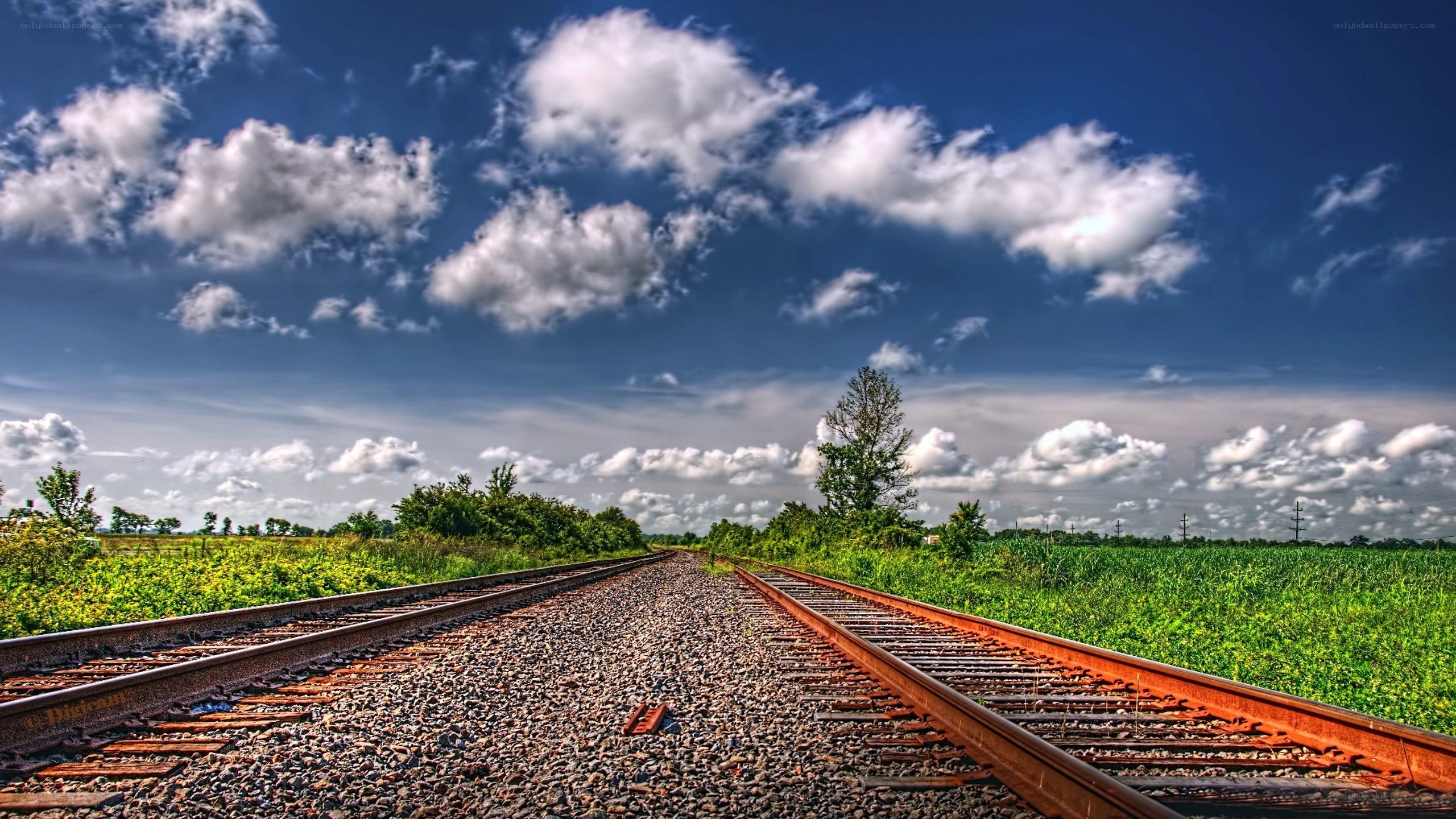 Railroad tracks under a cloudy sky