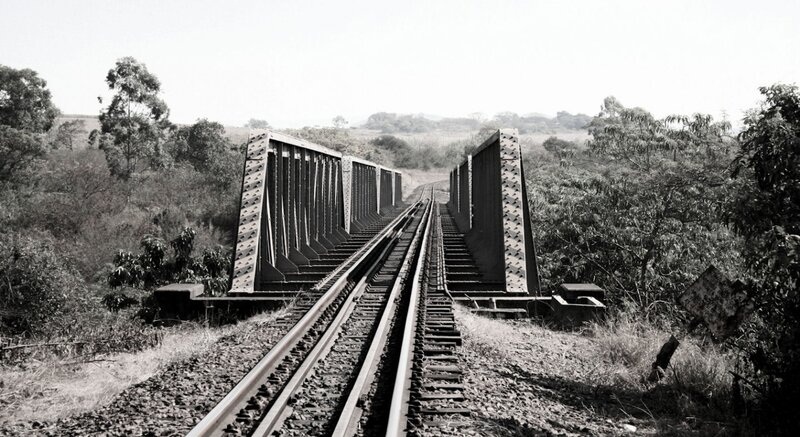 Railway Bridge in Forest — Black