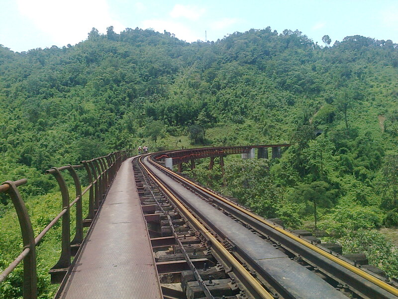 Railway Bridge in Forest — Green