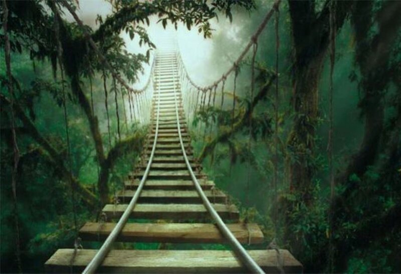railway bridge in jungle